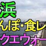 【ドラクエウォーク】横浜でドラクエウォーク 食レポ 雑談とDQウォークの話【ガチャ】【初心者】【攻略】【DQW】