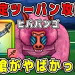 【ドラクエウォーク】魔界の香水【ヒババンゴ】安定ツーパン攻略！旗槍がやばかった！【DQW】