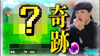 【ドラクエウォーク】モンスターグランプリ直前に新戦力‼︎‼︎魔王〇〇の極が仲間になった！！！！ので早速使ってみた【なかまモンスター】【仲間モンスター】【DQW】