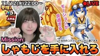 【DQW】元秋葉のメイドはセラフィが欲しい！【ガチャ】