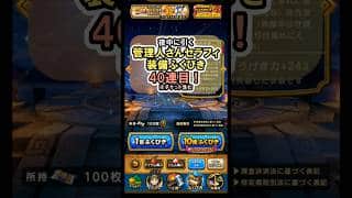 【ドラクエウォーク/ガチャ】SNSで話題(？)の管理人さんセラフィ装備ふくびき40連目【Dragon Quest Walk/肉球印の大しゃもじ】#shorts  #ドラクエウォーク #4