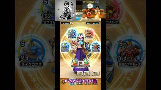 ドラクエウォーク ダークトロルの祠 制限有 　Wぶたさんでお見せしますです #DQW #ドラゴンクエストウォーク#ドラクエウォーク#ぶたさん#どっちが勝つと思う？