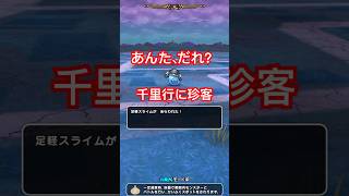 【ドラクエウォーク】千里行に足軽スライム乱入は運営様のやさしさかもしれません。