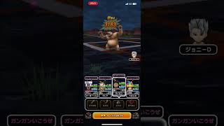 #ドラクエウォーク 🐉ごうけつぐま🐻👿現わる😈🐻