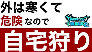 【なかまモンスター】自宅でレベリングしつつタマゴ割れるの待つ【ドラクエウォーク】