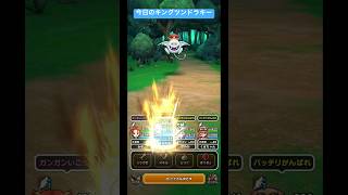 今日のキングツンドラキー！#ドラクエウォーク #宝の地図