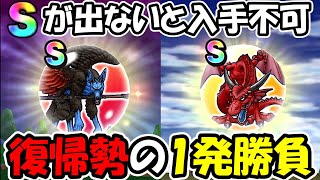 【ドラクエウォーク】復帰勢全力の１発勝負・・・Ｓが出ないと入手不可、覚悟の1戦！！