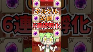 ネルゲルの卵6連発！！ #ゲーム #ドラクエウォーク    #ドラゴンクエストウォーク  #ゲーム配信 #ゲーム実況