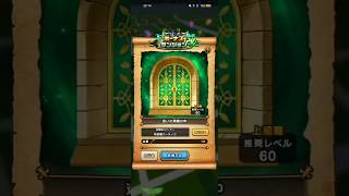 #704【ドラクエウォーク】復帰後初めてボーナスダンジョン改が出来るようになりました😊