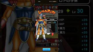 #717【ドラクエウォーク】ロトの子孫やっとレベル30に上がりました😊