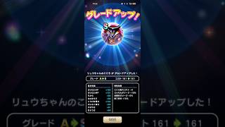 #723【ドラクエウォーク】りゅうちゃんのこころは組み上げでやっとS完成😊