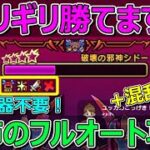 【ドラクエウォーク】今回もやります！破壊の邪神シドー恐怖のフルオート攻略！混乱ハメ技組み込み！