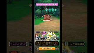 プレミアムチョコヌーバ討伐！#ドラクエウォーク #宝の地図 #プレミアムチョコヌーバ