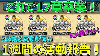 【ドラクエウォーク】17章卒業します！反動が怖い1週間の活動報告！プレイ状況共有！