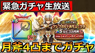 【ドラクエウォーク】ルビスの月斧4凸+ビジネス無凸確保までガチャ！2026年の勢い出していくぞ！