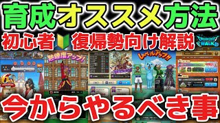 【ドラクエウォーク】復帰勢や初心者向けオススメ育成方法！レベル上げや転職など今からやるべき事を簡単に解説します！【DQウォーク】