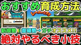 【ドラクエウォーク】新規や復帰勢の方必見！おすすめのレベル上げや育成方法について！絶対にやるべき設定の小技も解説します！【DQウォーク】