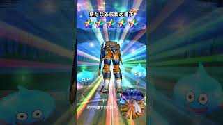 DQウォークで10連してみた結果…ちなみに主はまだレベル40の初心者です()#DQウォーク #ドラクエ