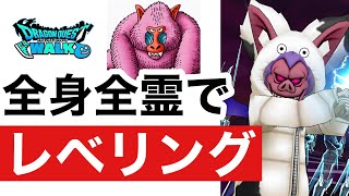 【なかまモンスター】レベル上げしてる時がいちばん幸せ【ドラクエウォーク】