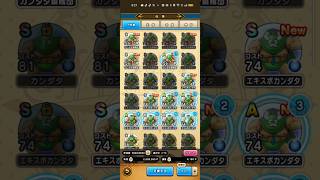 #ドラクエウォーク【仕事しない奴らをクビにしました】優秀な奴らが増えてきたし仕方ない#無課金