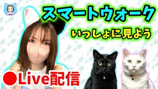 【ドラクエウォーク配信】スマートウォークいっしょに見よう！新武器と新メガモンどんな感じ…！？【ひなさんゲ。】