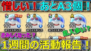 【ドラクエウォーク】ちょっとさみしくなった1週間の活動報告・プレイ状況共有です！