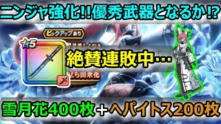 【ドラクエウォーク】#265 ついに今年初勝利なるか!?