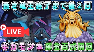 【ドラクエウォーク】蒼き竜王終了まで後2日目。ギガモン＆錬金百式周回！【dqw】