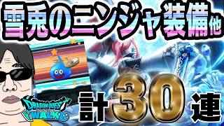 【ドラクエウォーク】またまたスラミチ!!雪兎のニンジャ装備ガチャ他30連で魅惑の防具をを無課金勇者は入手することはできるのか!?