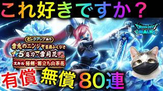 【ドラクエウォーク】魅惑の装備！？雪兎のニンジャ装備で80連！　#dqw #dqウォーク #忍刀 #雪月花 #秘剣 #霜立ち山茶花 #ガチャ #dqwガチャ #ニンジャ