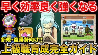 【ドラクエウォーク】早く効率良く強くなるにはコレ!! 新規・復帰勢向け上級職育成完全ガイド!!【DQW】