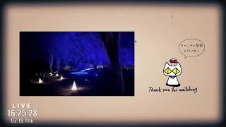 【ドラクエウォークLive】まほうのカギと竜の秘宝 第２章と新ほこらと本庄散歩【ツイキャス、ニコ生同時配信】