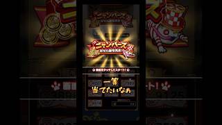 【ドラクエウォーク】ニャンバーズ一等当てたいなぁ#ドラゴンクエスト #ウォーク#rpg#ゲーム#一等