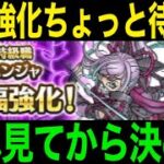 結局強化ニンジャどうなの？衝撃の事実が判明しました【ドラクエウォーク】【ドラゴンクエストウォーク】