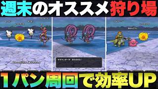 【ドラクエウォーク】魔人・ゴド以外を育成したい方はコノ千里行オススメです。