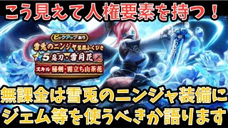 【ドラクエウォーク】無課金プレイヤーは 雪兎のニンジャ装備 にジェム等を使うべきか語ります【ドラゴンクエストウォーク】