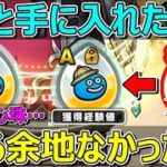【ドラクエウォーク】ほしかったのに…ドルマゲスの心珠使えませんでした…。
