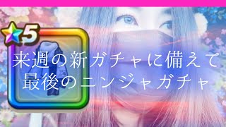 お散歩しながら最後のニンジャガチャ