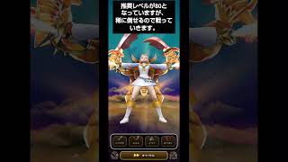 やすじの趣味（ドラクエウォーク）