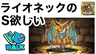 テスト配信がてらレベリング【ドラクエウォーク】