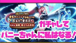 雪うさぎにワシは、なるっ！雪兎のニンジャ装備ガチャ