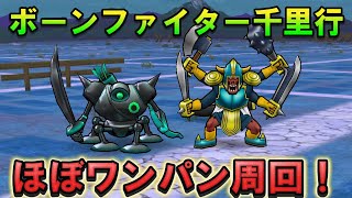 【ドラクエウォーク】ボーンファイター千里行 ほぼワンパン周回！