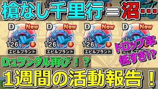 【ドラクエウォーク】沼が再び来た1週間の活動報告・プレイ状況共有！ドロップ率は！？