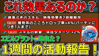 【ドラクエウォーク】ムリヤリ槍使った雑な検証の1週間の活動報告・プレイ状況共有！