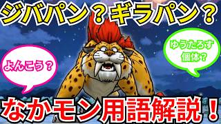 【ドラクエウォーク】ジバパン？ギラパン？バギパン？4攻？（よんこう）初心者の為のなかモン用語解説！！！