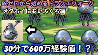 【ドラクエウォーク】３０分で500万～600万経験値！？メタホイにおいぶくろで効率よくレベル上げる方法について解説【6.5周年～Reゼロから始めるドラクエウォーク】part7