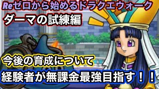 【ドラクエウォーク】レベル上げ＆ダーマ試練開放！！今後の育成方針について【6.5周年～Reゼロから始めるドラクエウォーク】part6