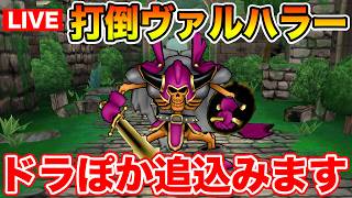 【ドラクエウォーク】ドラぽか挑戦の書追込み!! 打倒ヴァルハラーを目指して!!【DQW】