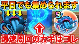 【ドラクエウォーク】今なら平日でも集めることができる!! エビルプラント爆速周回のカギはコレ!!【DQW】