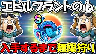 【ドラクエウォーク】エビルプラントの心、Sが完成するまで無限狩りいくぞーーー！！竪琴竪琴竪琴竪琴！！